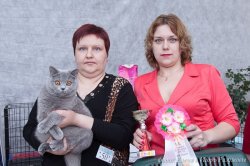 выставки