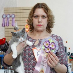 выставки