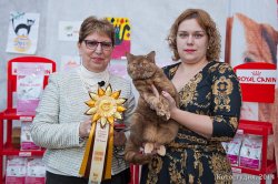 выставки