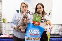 выставки