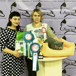 Фил победитель