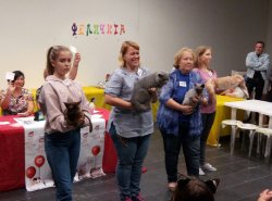 победы Фила