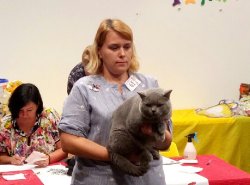 победы Фила