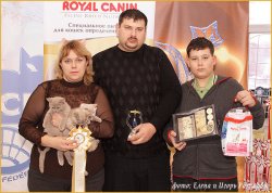 Фотографии с выставок