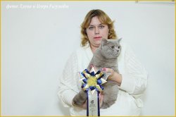 Фотографии с выставок