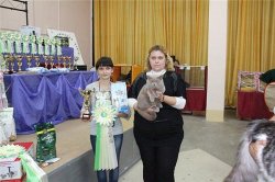 Фотографии с выставок