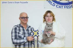 Фотографии с выставок