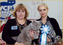 Фотографии с выставок
