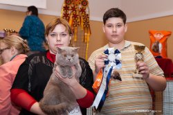 Фотографии с выставок