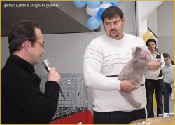 Фотографии с выставок