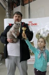 Фотографии с выставок