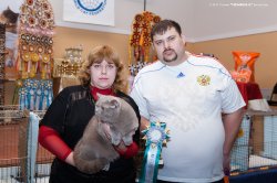 Фотографии с выставок