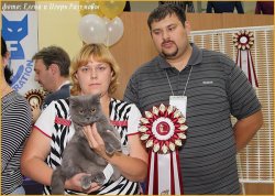 Фотографии с выставок