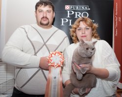 Фотографии с выставок