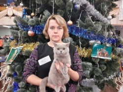 мы на выставках