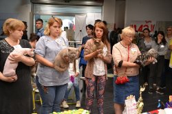 Балуша в номинации