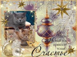 открытки