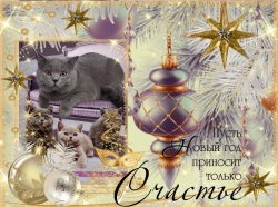 открытки