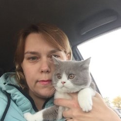 кошки дома