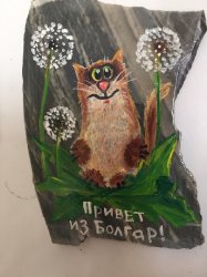 коллекция