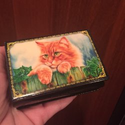 котики