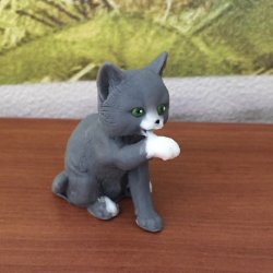 коллекция