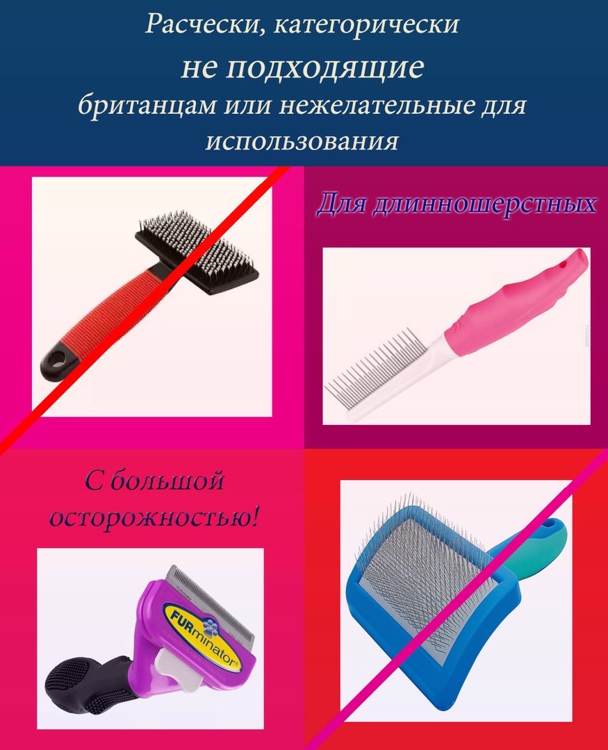 iB8LJeyDc3M