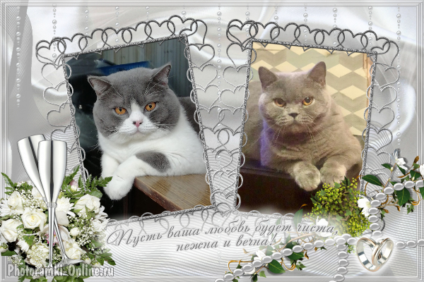 photoramki online 1