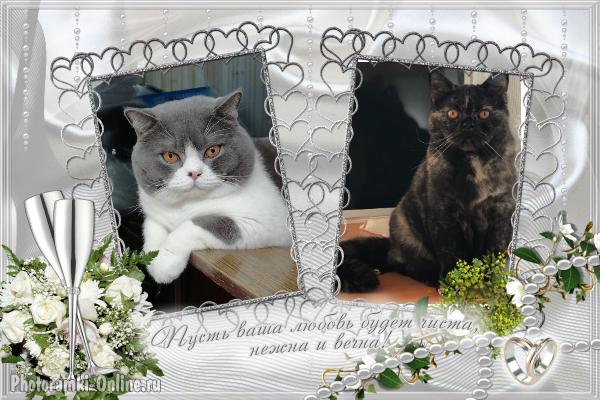 photoramki online 2