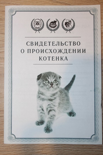 метрика